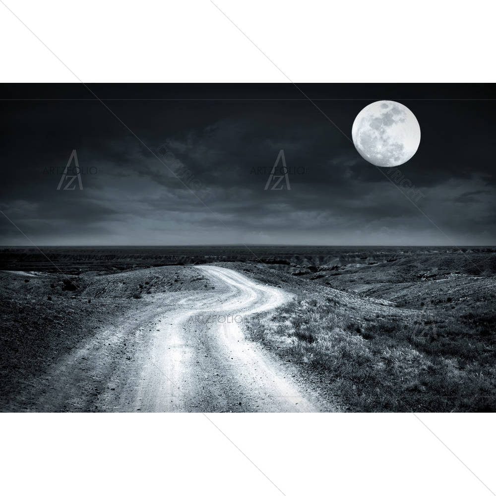Empty Rural Road — custom-size art design 5003587