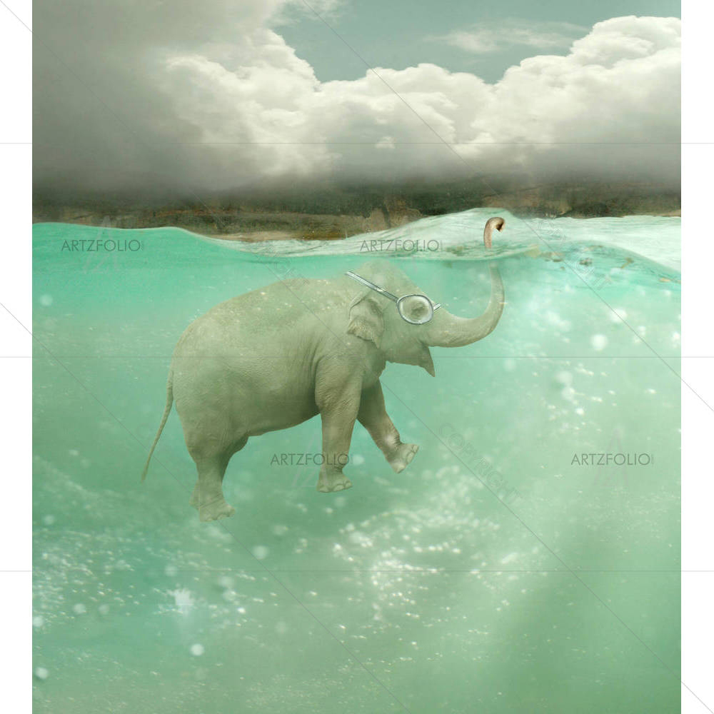 Funny Elephant Swimmer — custom-size art design 5003590