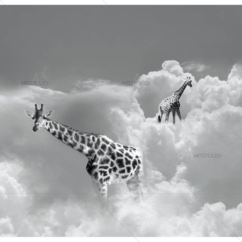 Two Giraffe Walking In The Clouds — custom-size art design 5003591