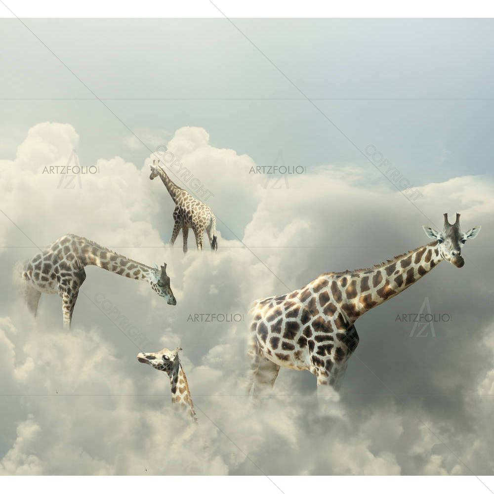 Four Giraffe Walking In The Clouds — custom-size art design 5003592