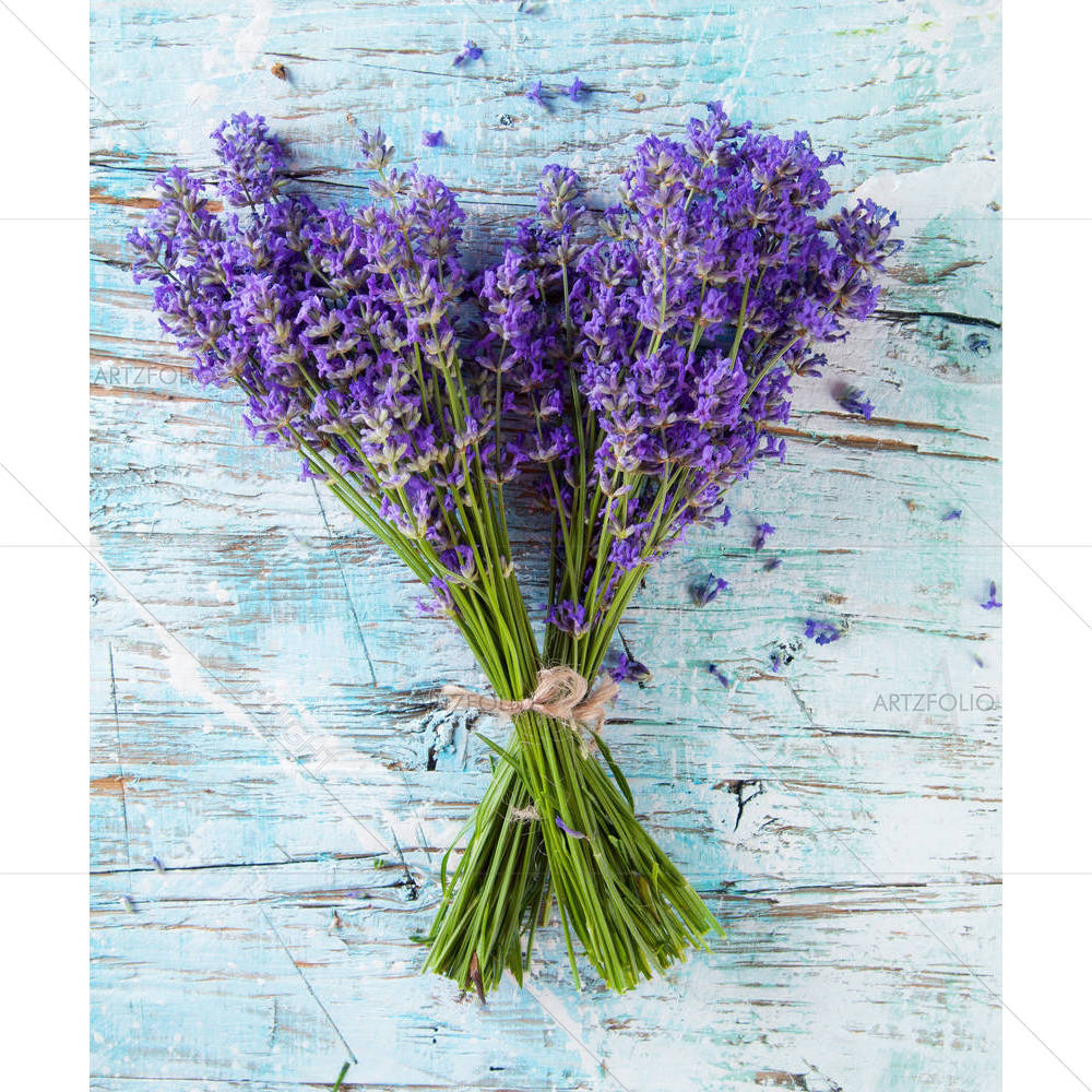 Lavender Blossoms — custom-size art design 5003608