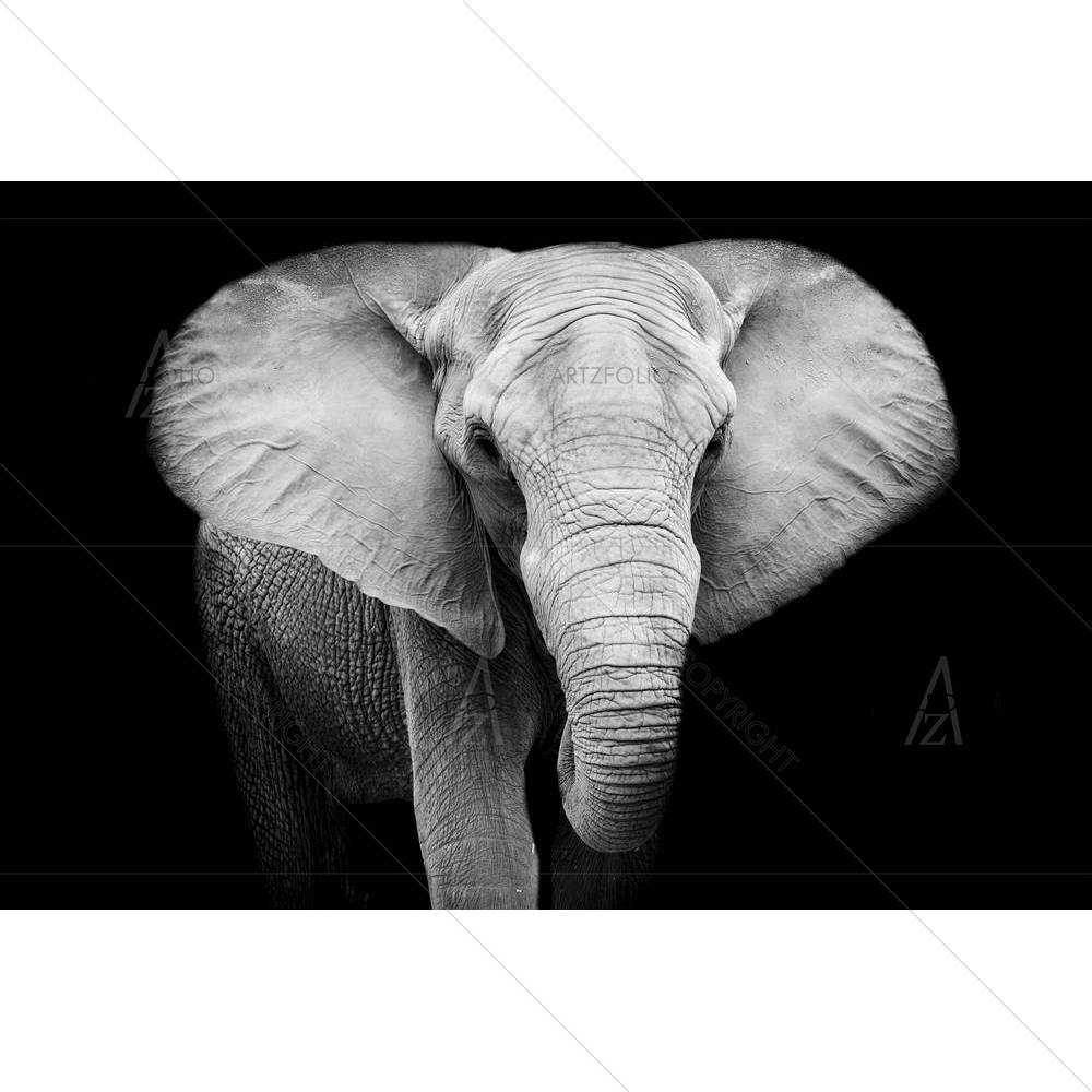 Elephant D8 — custom-size art design 5003652