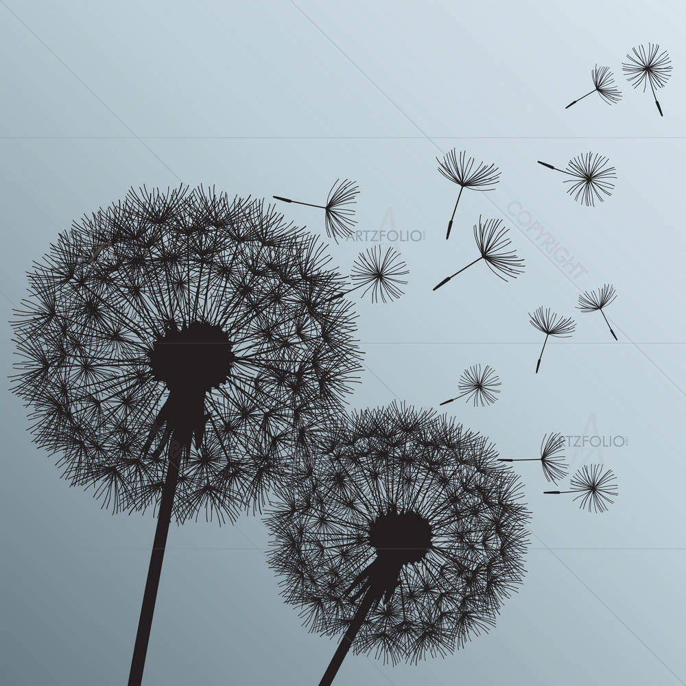 Black Flowers Dandelions — custom-size art design 5003679