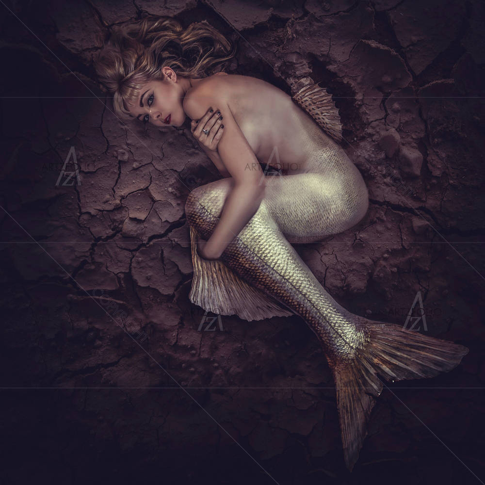 Mermaid Trapped In A Sea — custom-size art design 5003683