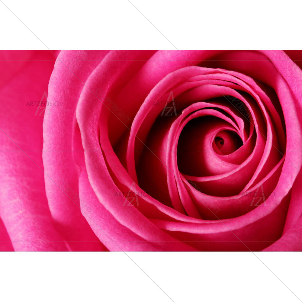Flower D2 — custom-size art design 5003719