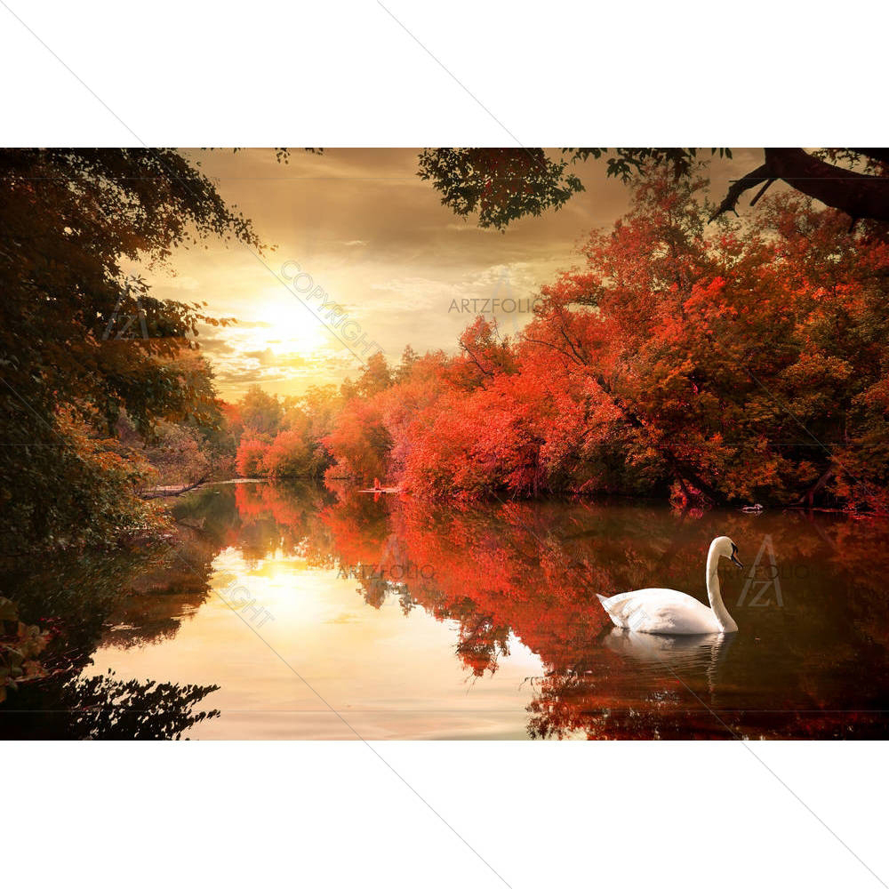 Swan In The Autmn — custom-size art design 5003730