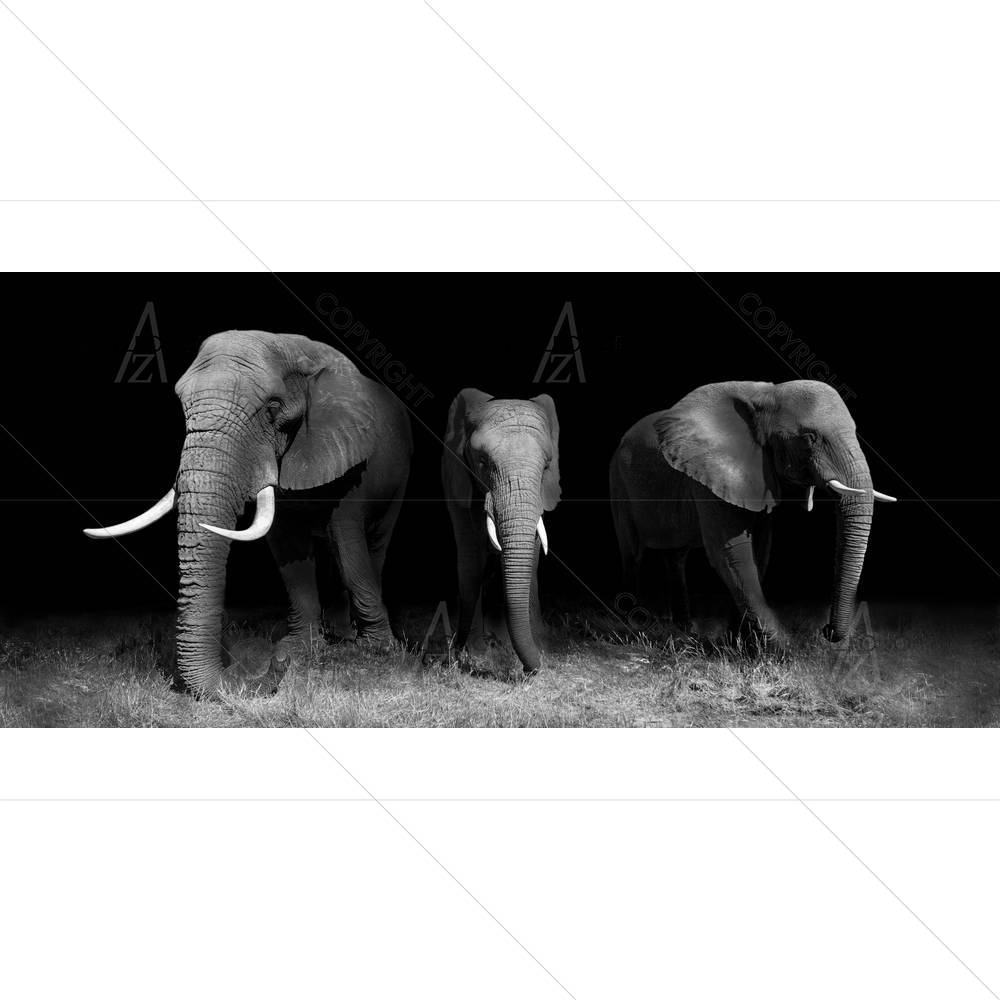 Wild African Elephants — African custom art by ArtzFolio