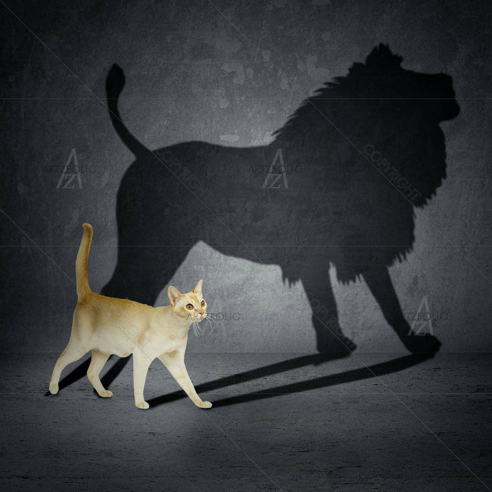 Cat With Lion Shadow — custom-size art design 5003738