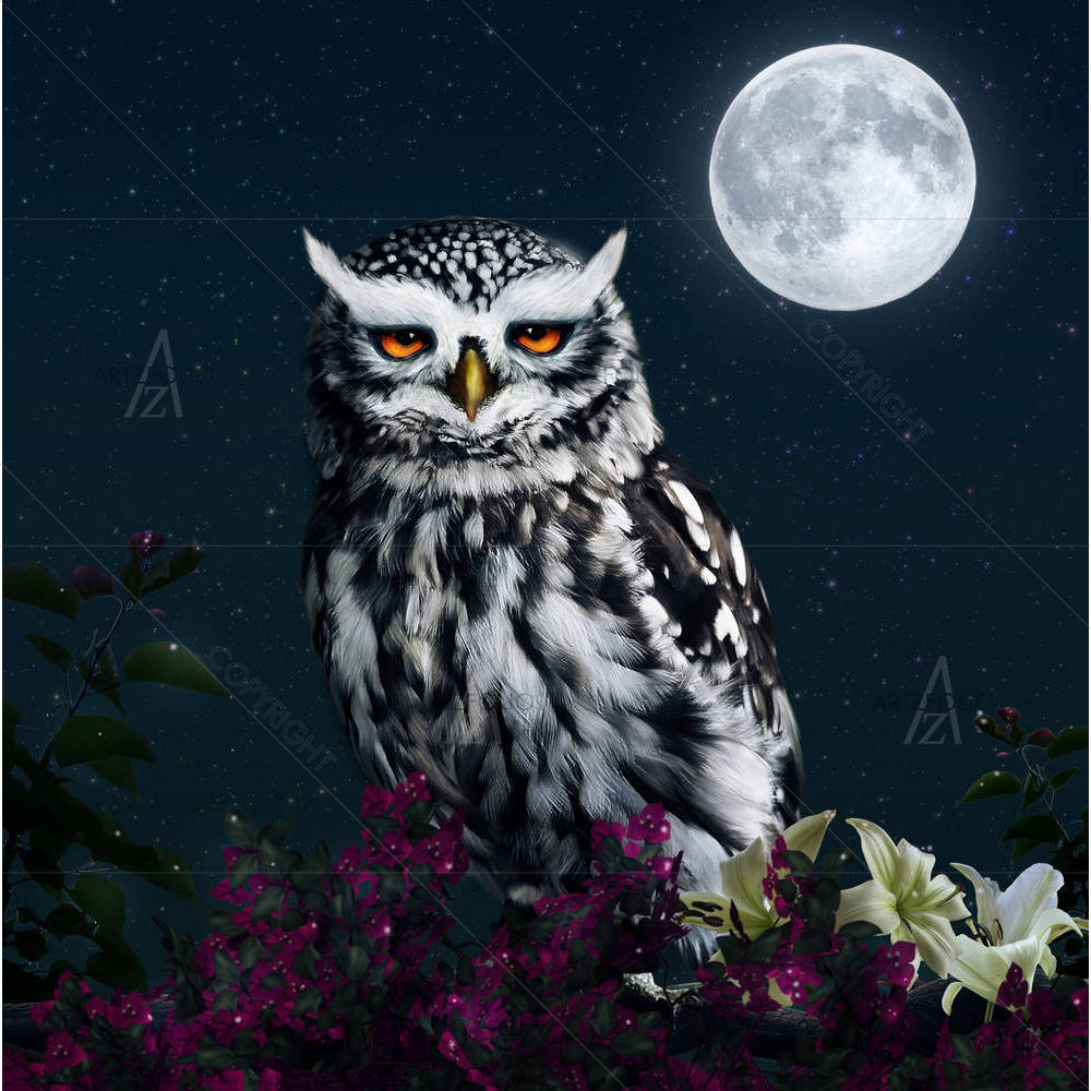 Owl At Night — custom-size art design 5003742