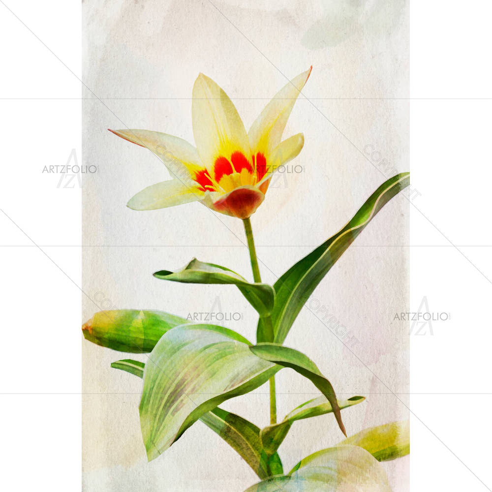 Yellow Tulip — Botanical custom art by ArtzFolio