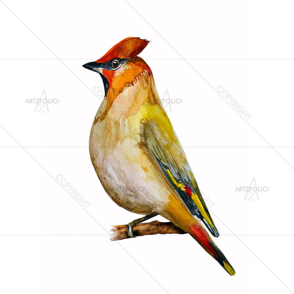 Watercolor Bird D3 — custom-size art design 5003752