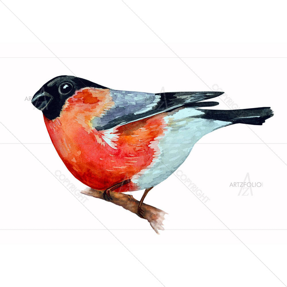 Watercolor Bird D4 — Devotional custom art by ArtzFolio