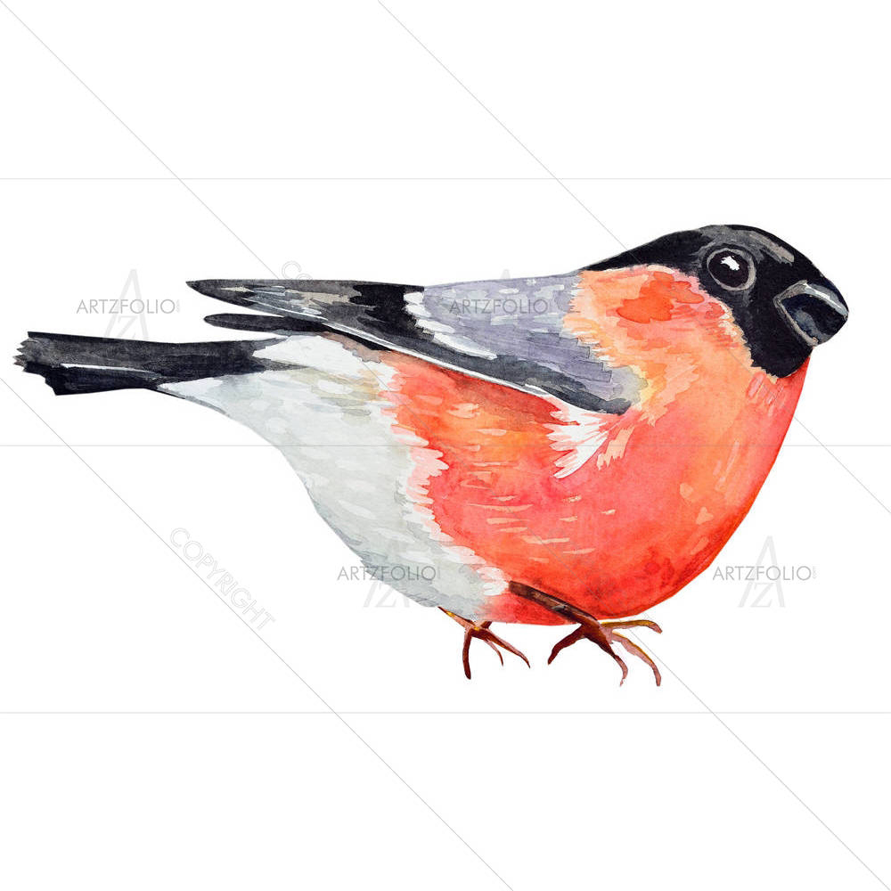 Watercolor Bird D5 — Devotional custom art by ArtzFolio