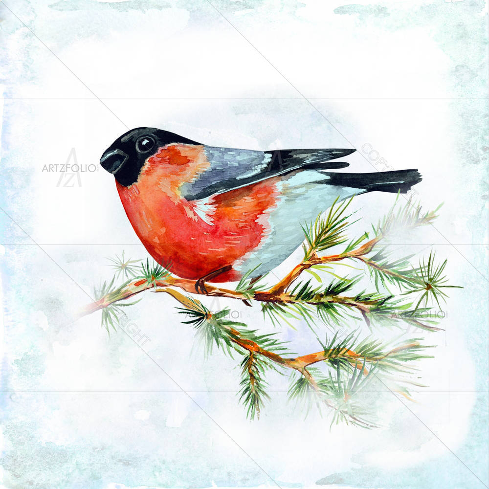 Watercolor Bird D6 — Devotional custom art by ArtzFolio