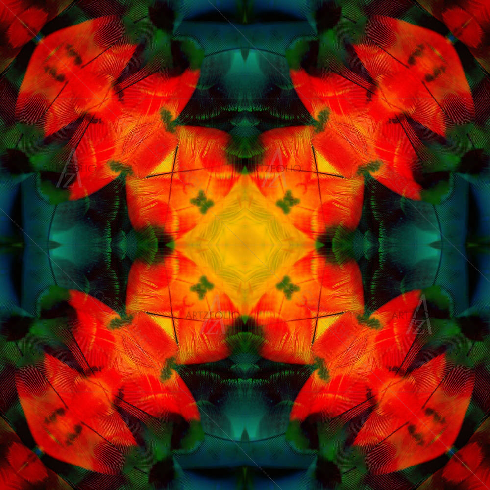 Scarlet Macaw Feathers D5 — custom-size art design 5003769