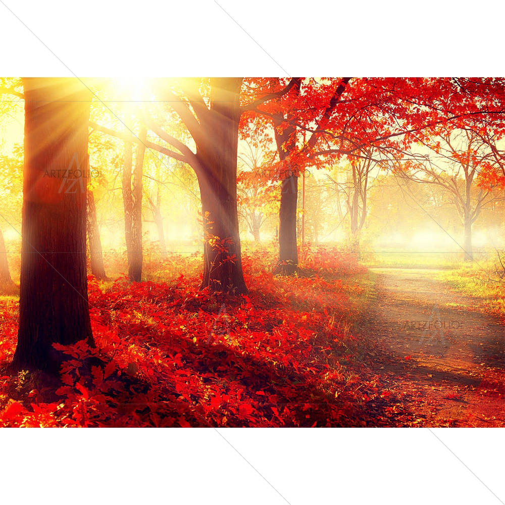 Old Autumn Forest — custom-size art design 5003788
