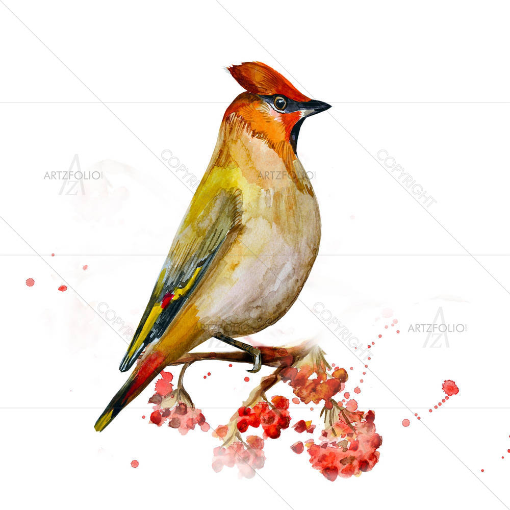 Watercolor Bird D7 — custom-size art design 5003793