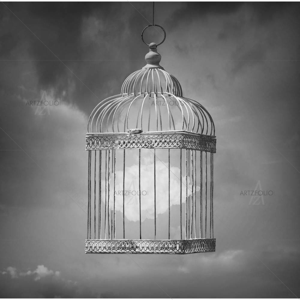 Cloud Inside A Cage D1 — custom-size art design 5003797