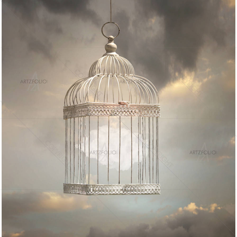 Cloud Inside A Cage D2 — custom-size art design 5003798