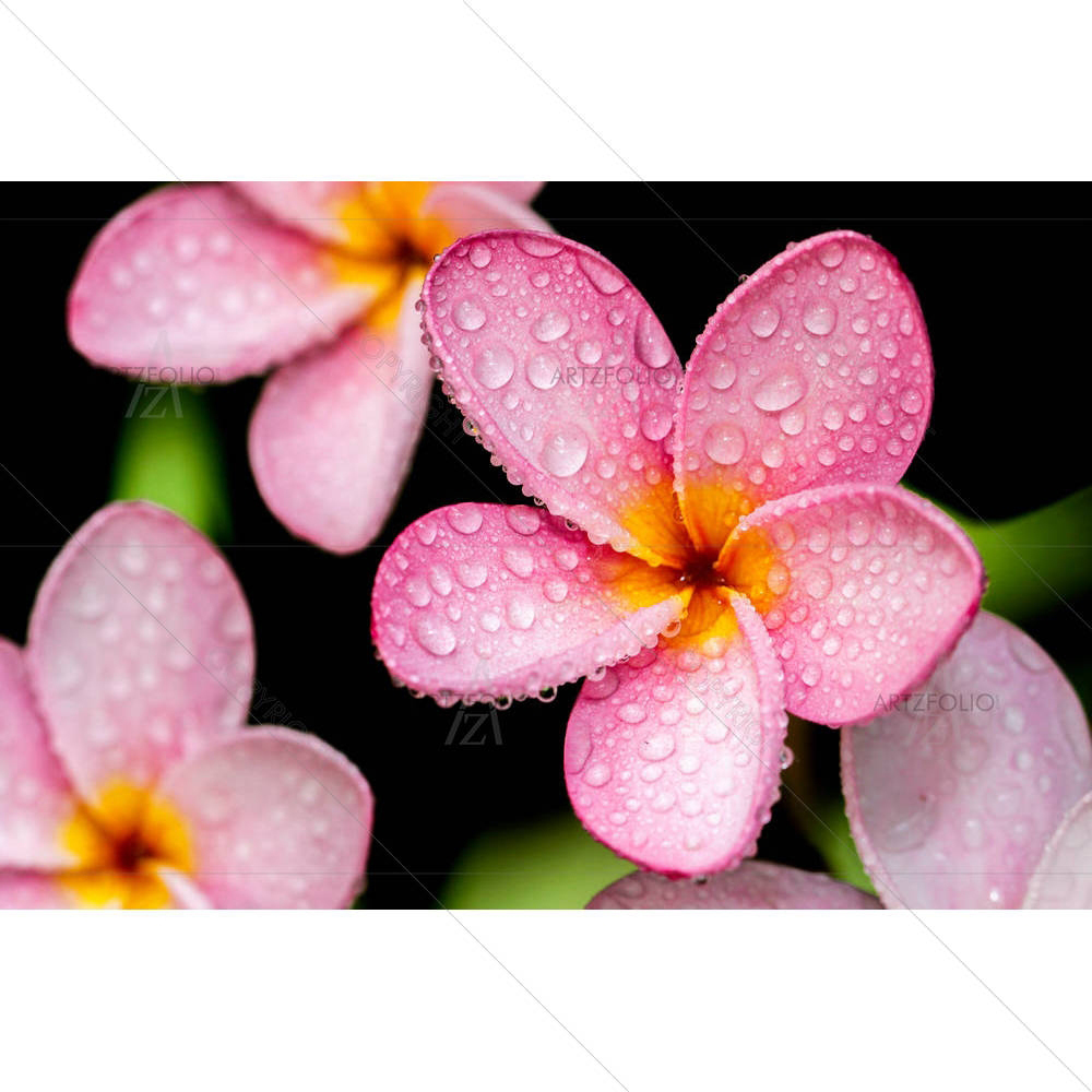 Flowers D4 — custom-size art design 5003837