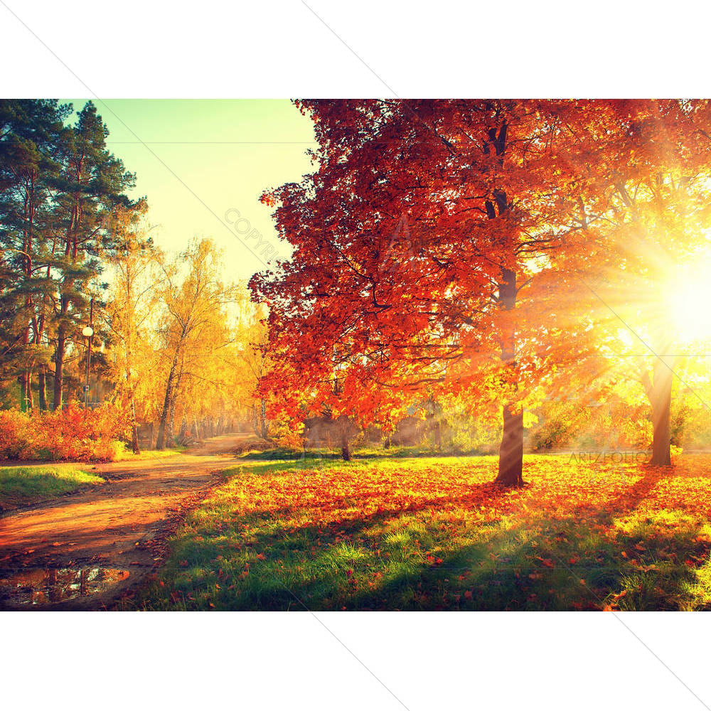 Autumn Scene — Landscapes custom art by ArtzFolio