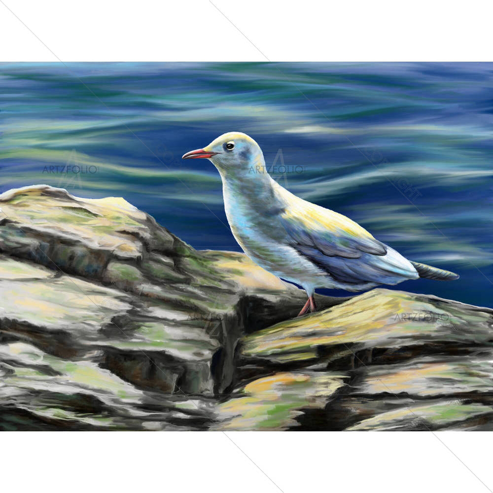 Seagull Resting On Rocks — custom-size art design 5003841