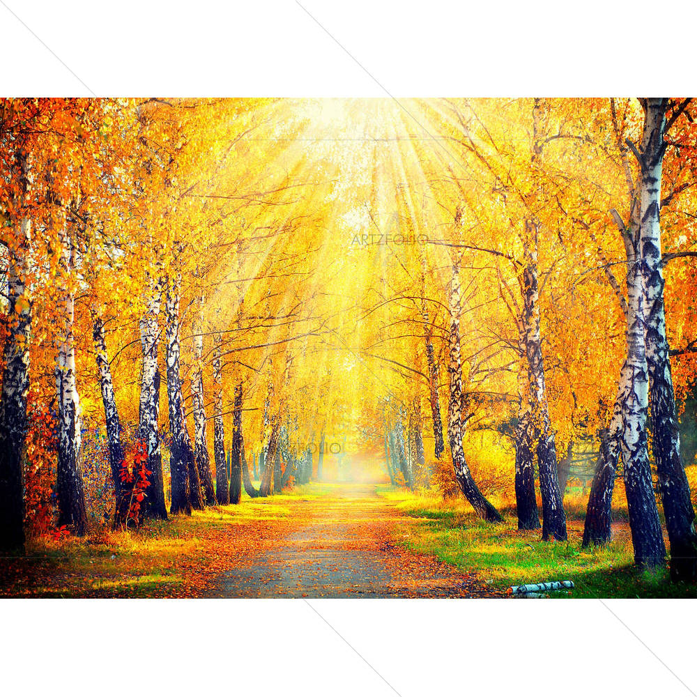 Autumnal Trees In Sun Rays D3 — custom-size art design 5003846