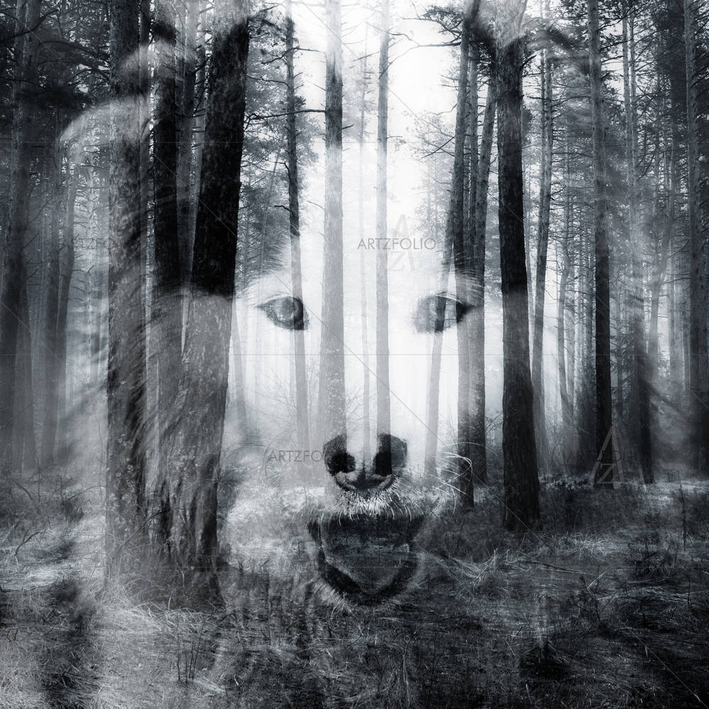 Dog & Black Forest — custom-size art design 5003849
