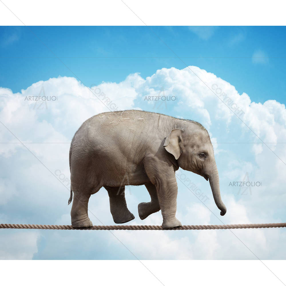 Elehant Calf Balancing On Rope — Abstract custom art by ArtzFolio