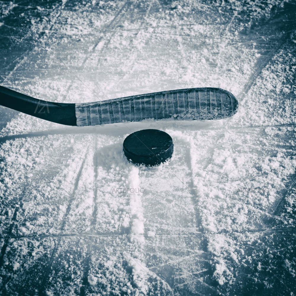 Hockey Stick & Puck — custom-size art design 5003871
