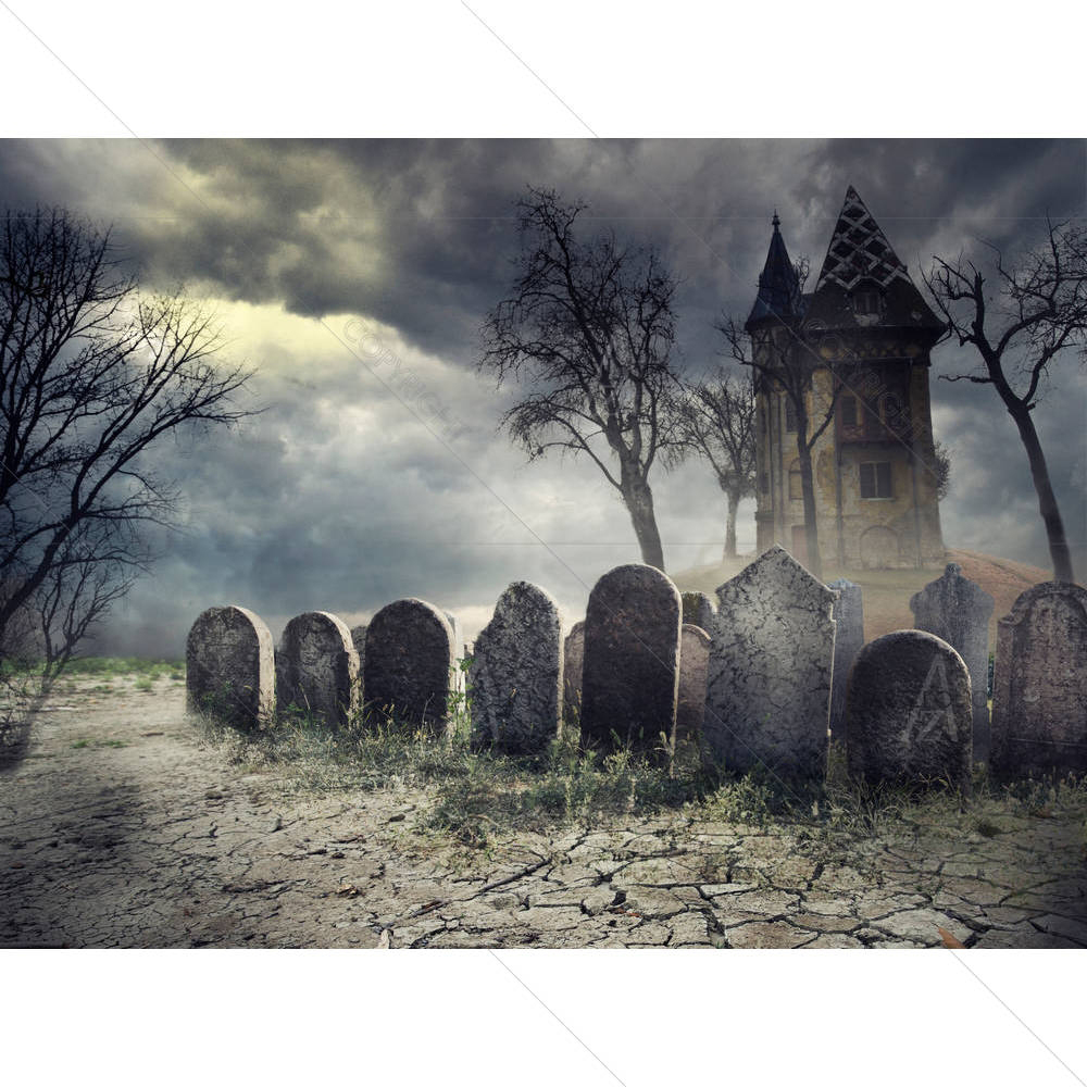 Hounted House On Spooky Graveyard — custom-size art design 5003884