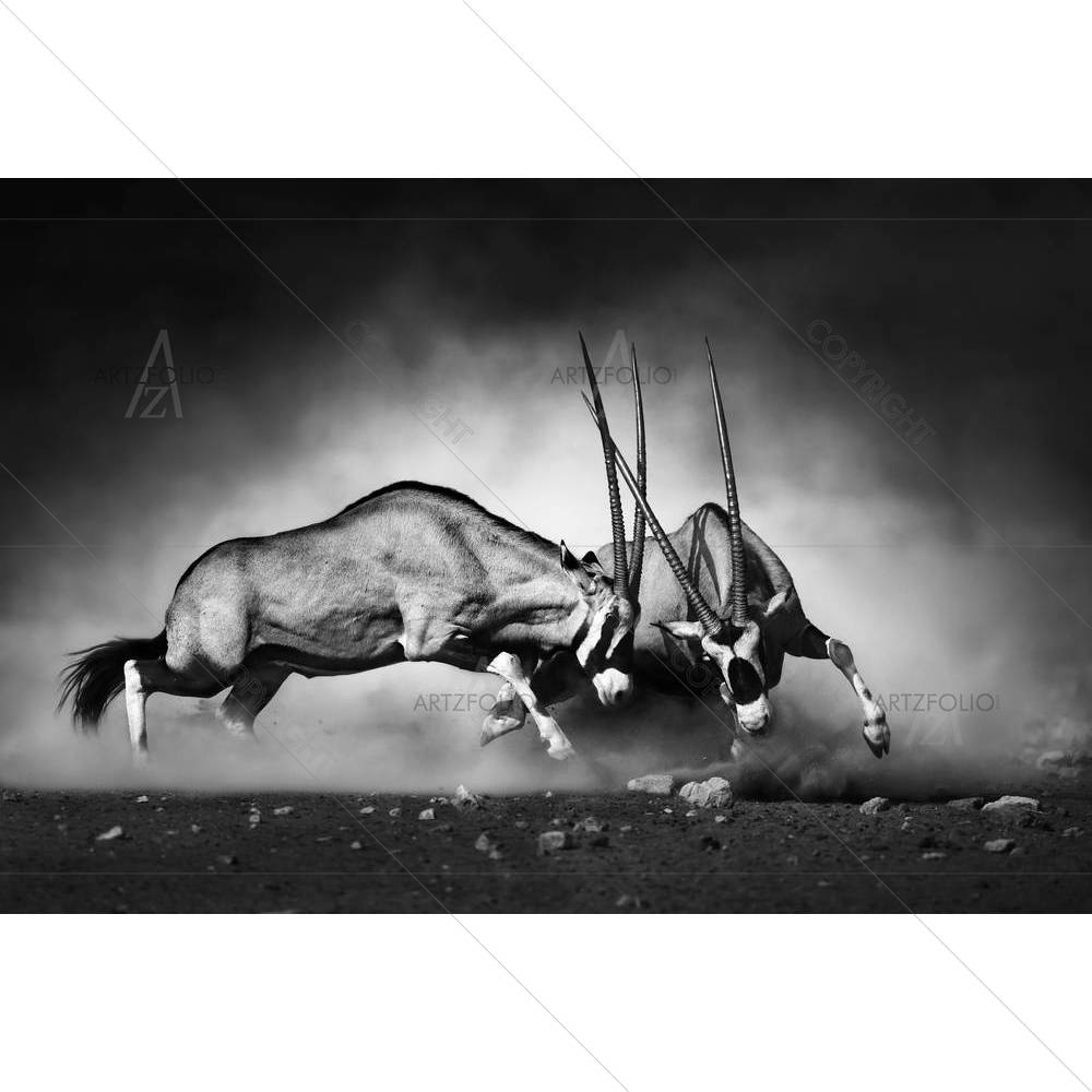 Gemsbok Dual — African custom art by ArtzFolio