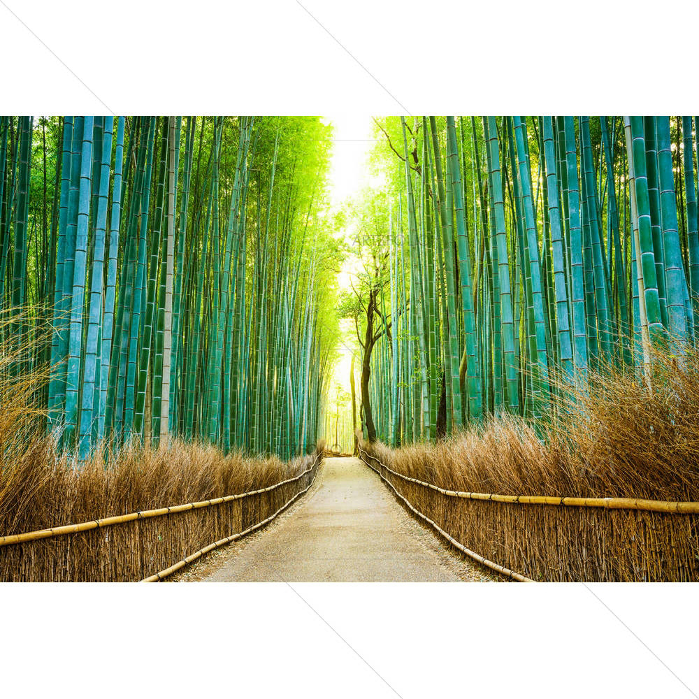 Kyoto Japan Bamboo Forest — Arrows custom art by ArtzFolio