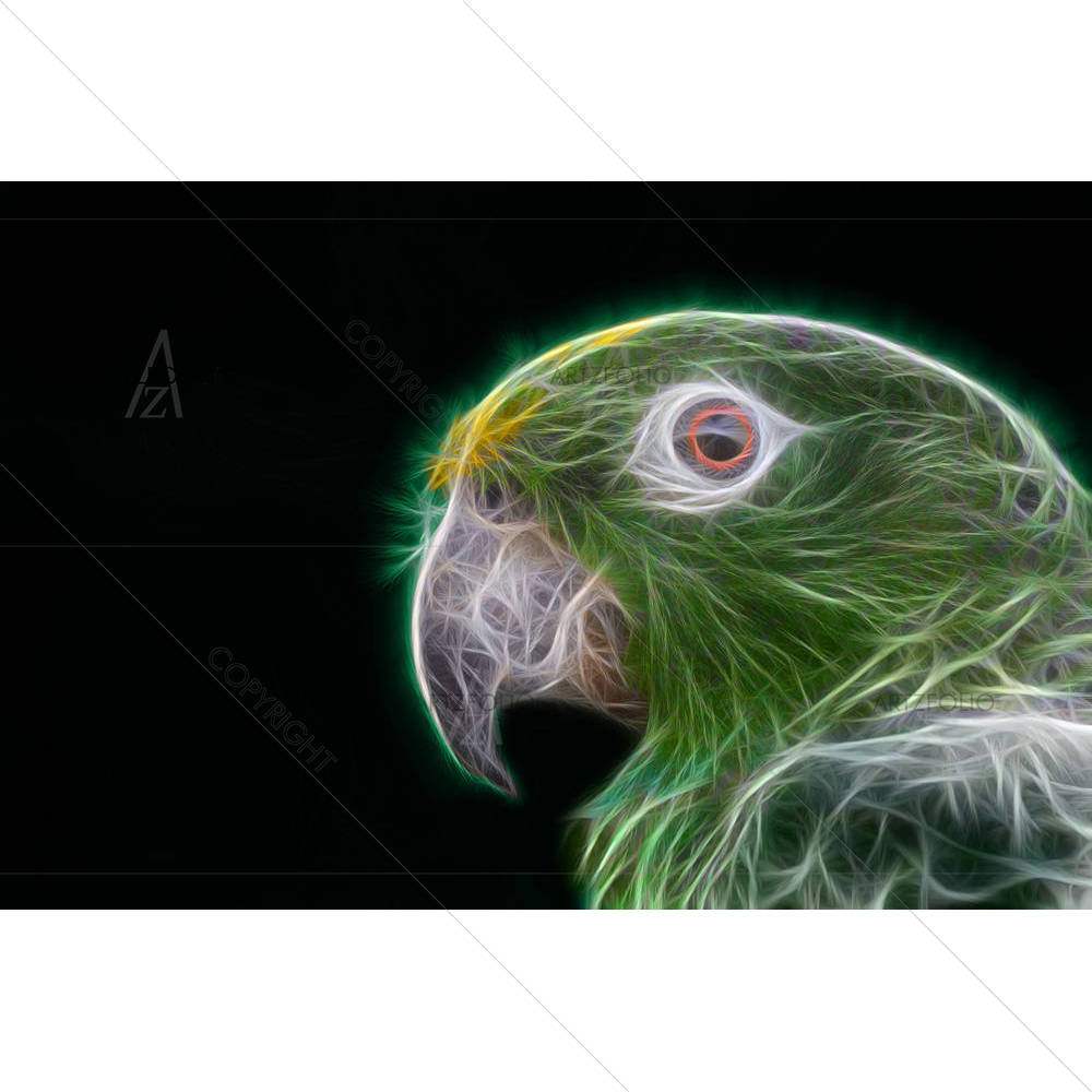 Green Parrot — Birds custom art by ArtzFolio
