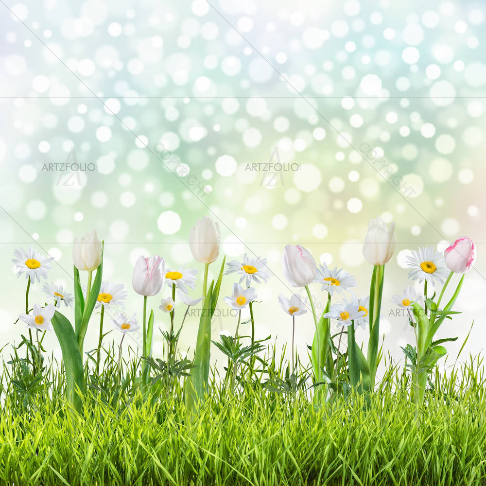 Flowers & Grass — custom-size art design 5004032