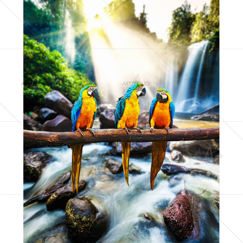 Blue & Yellow Macaw D2 — custom-size art design 5004047