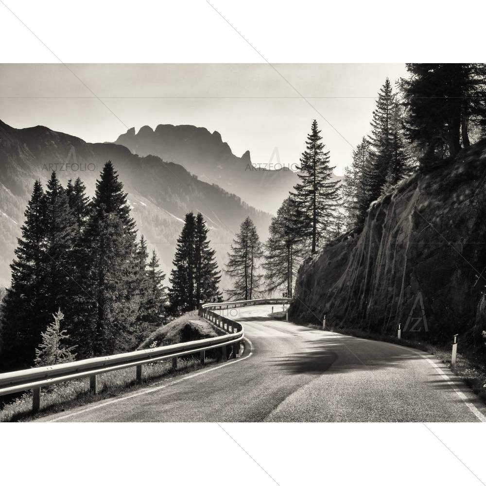 Country Road At The European Alps — custom-size art design 5004062