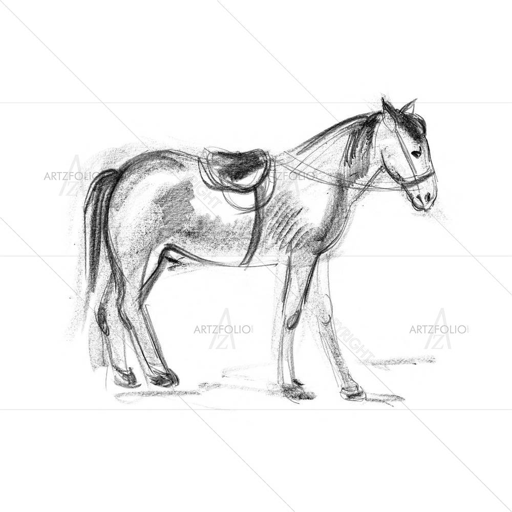 Horse D2 — custom-size art design 5004105