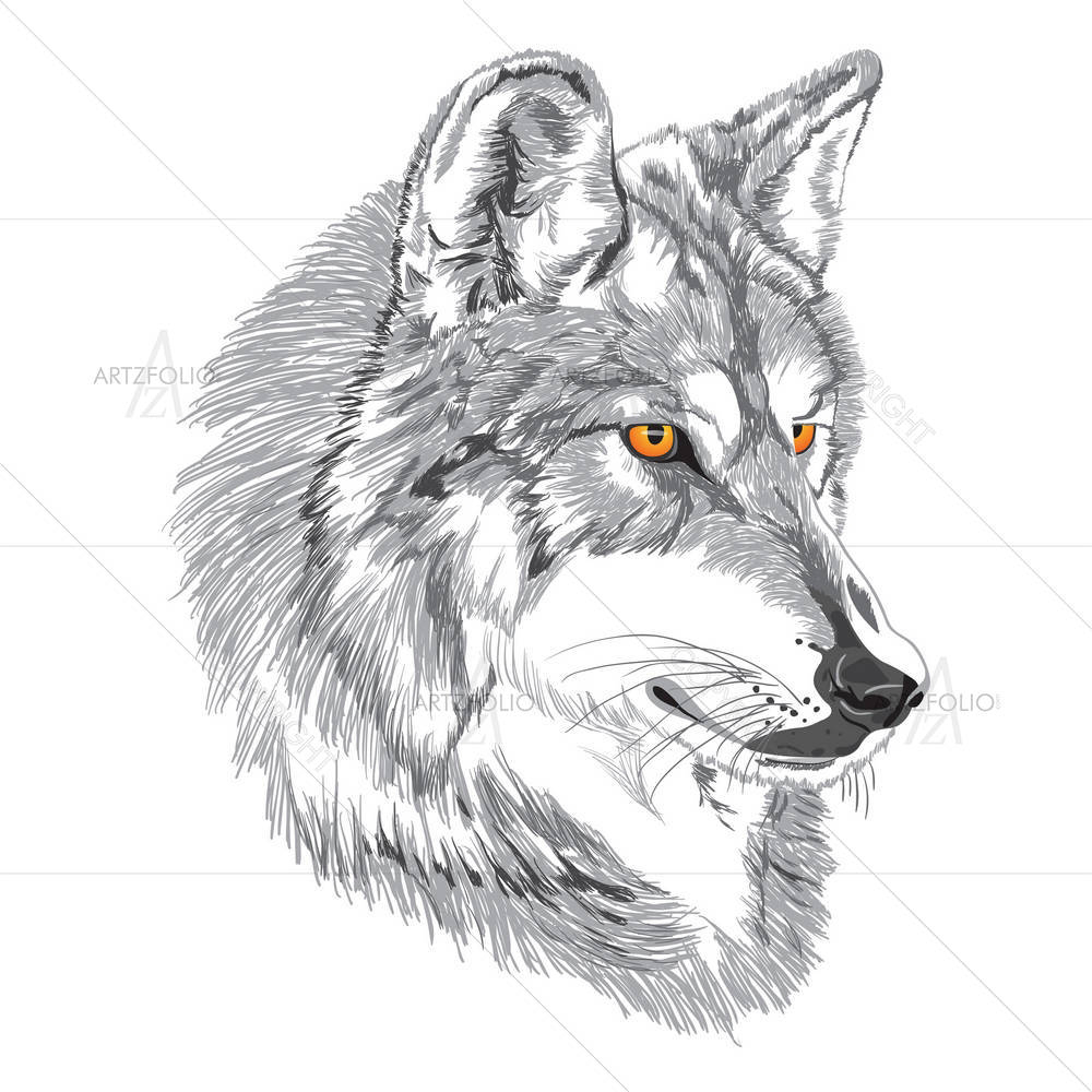 Wolf Muzzle — Animals custom art by ArtzFolio
