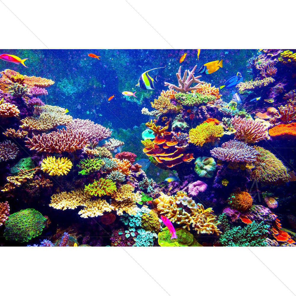 Coral Reef & Tropical Fish — custom-size art design 5004133