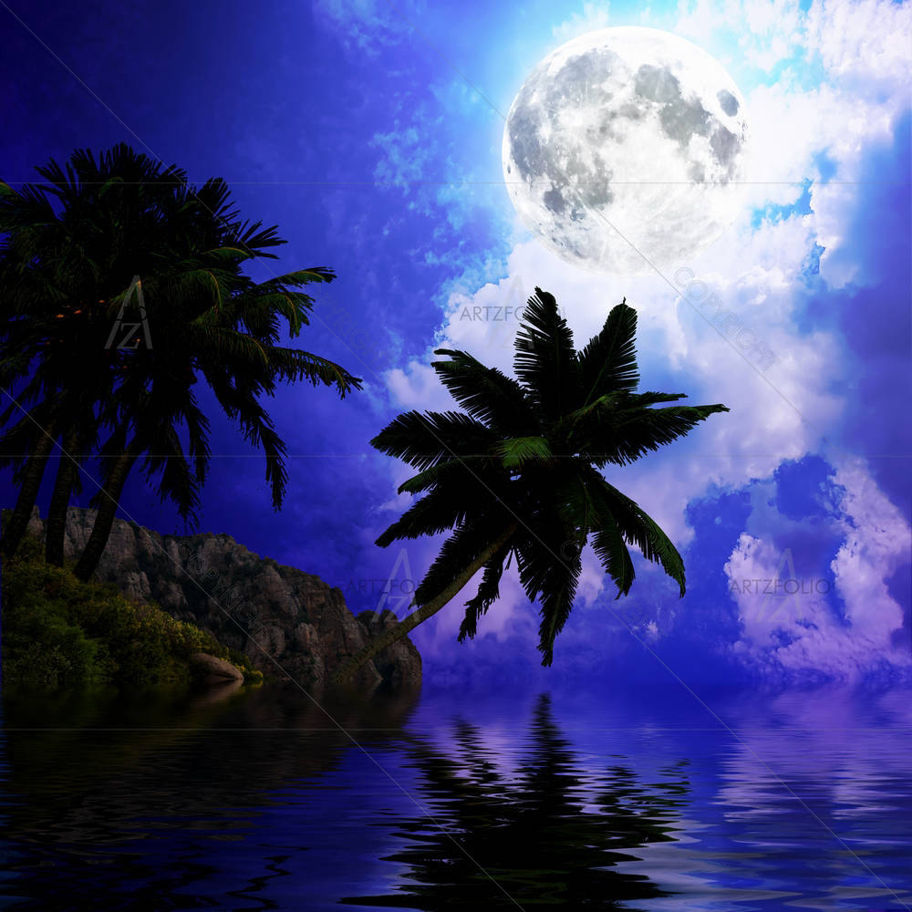 Silhouettes Of Palm Trees — custom-size art design 5004148