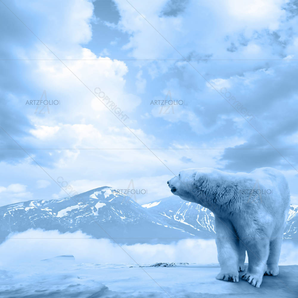 Polar Bear D1 — Animals custom art by ArtzFolio