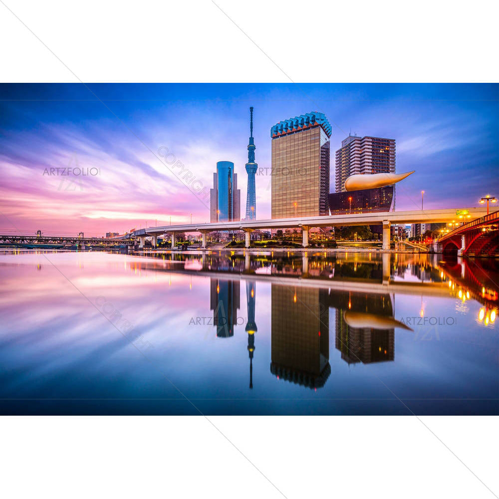 Tokyo Japan Skyline On The Sumida River — custom-size art design 5004200