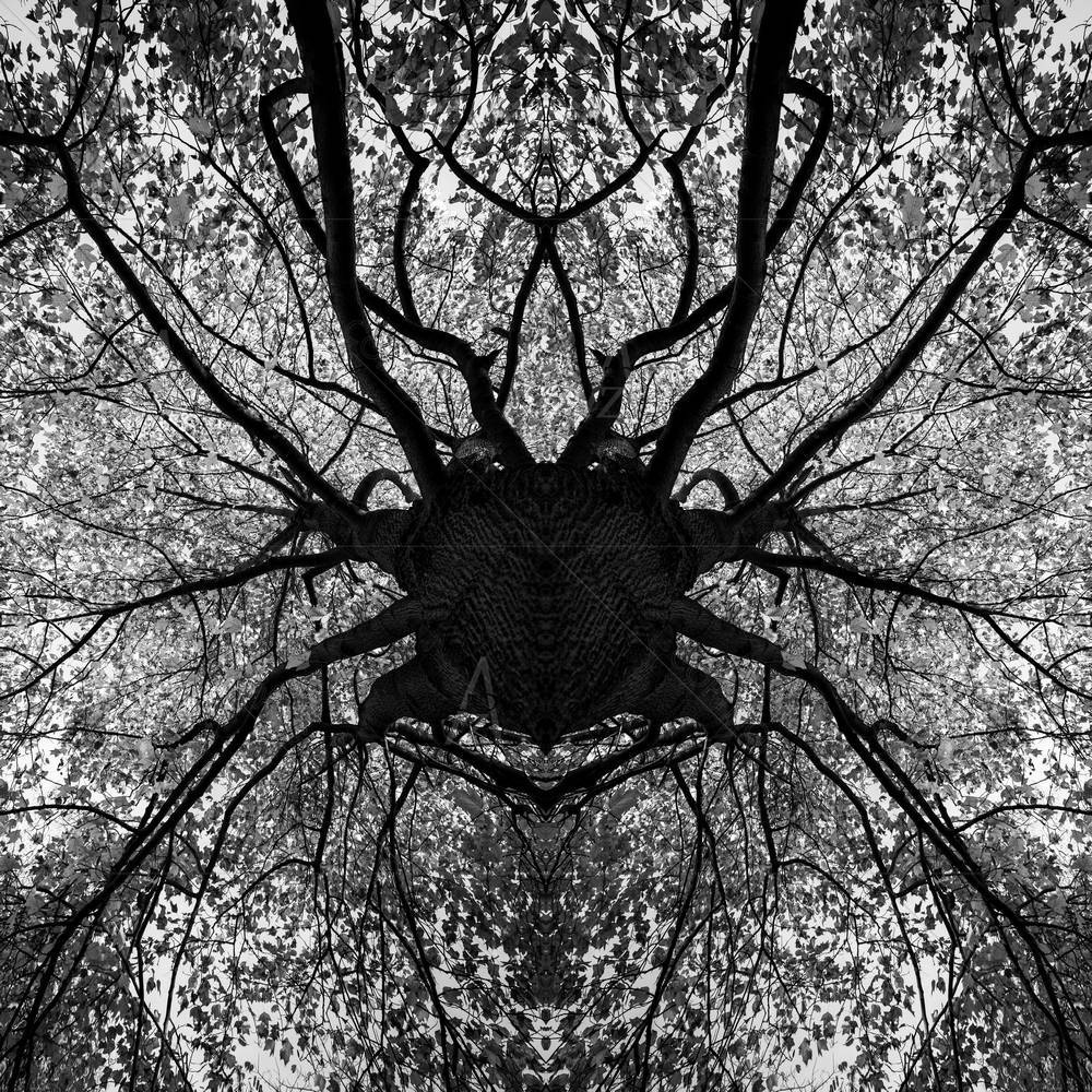 Tree Mandala — custom-size art design 5004269