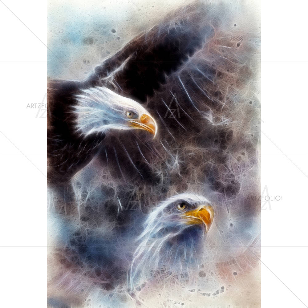 Airbrush Artwork Of Two Eagles — Abstract custom art by ArtzFolio