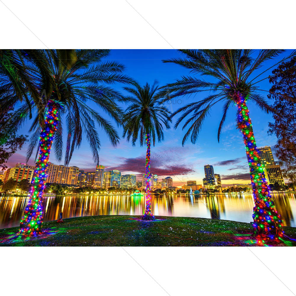Downtown City Skyline Eola Lake, Florida USA D2 — custom-size art design 5004293