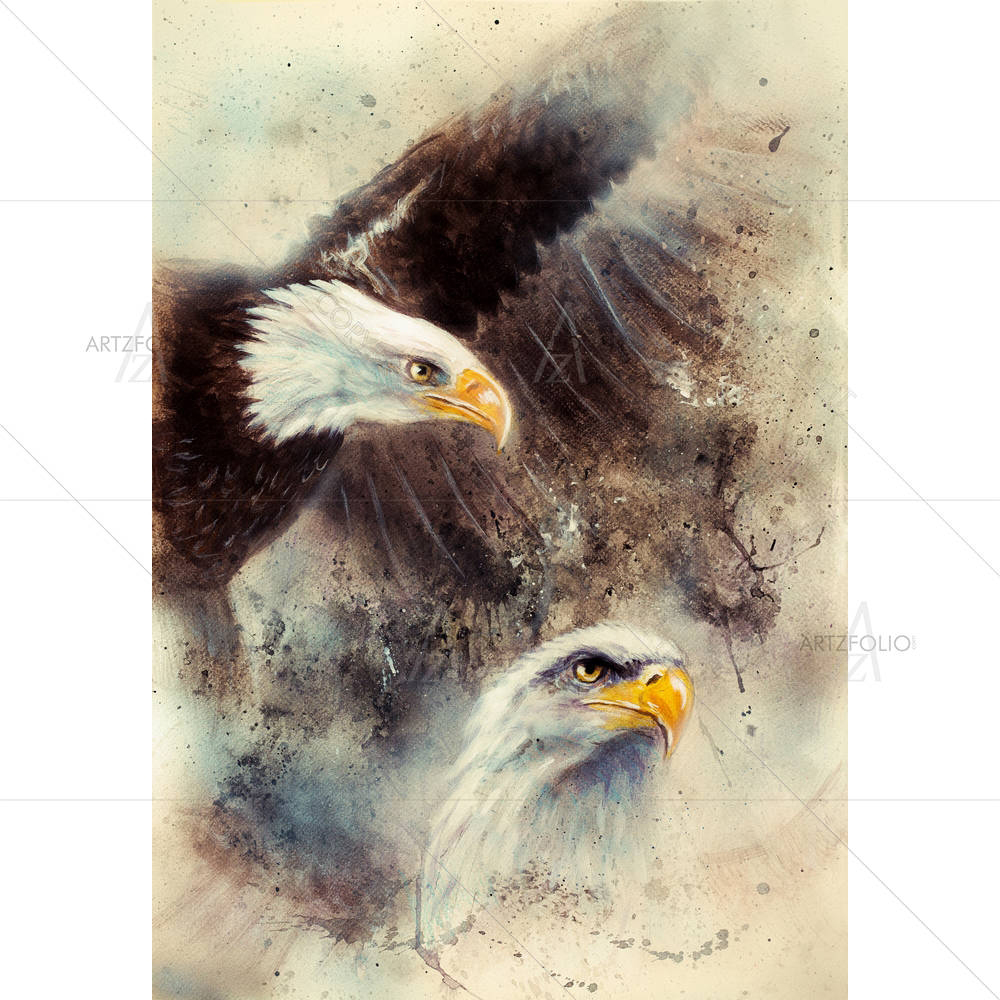 Two Eagles D2 — custom-size art design 5004294