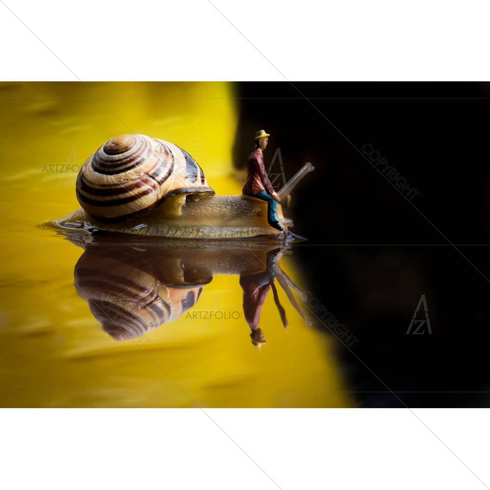 Snail Ship — custom-size art design 5004303
