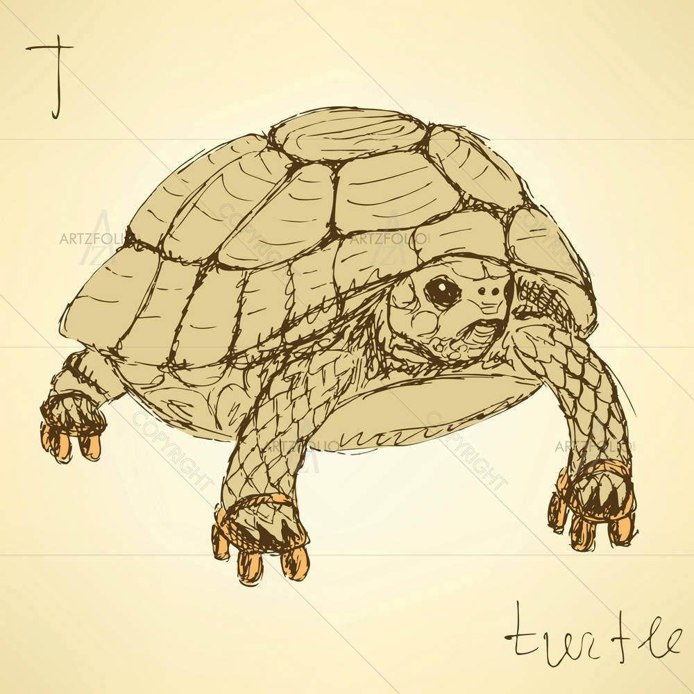Fancy Turtle — custom-size art design 5004337