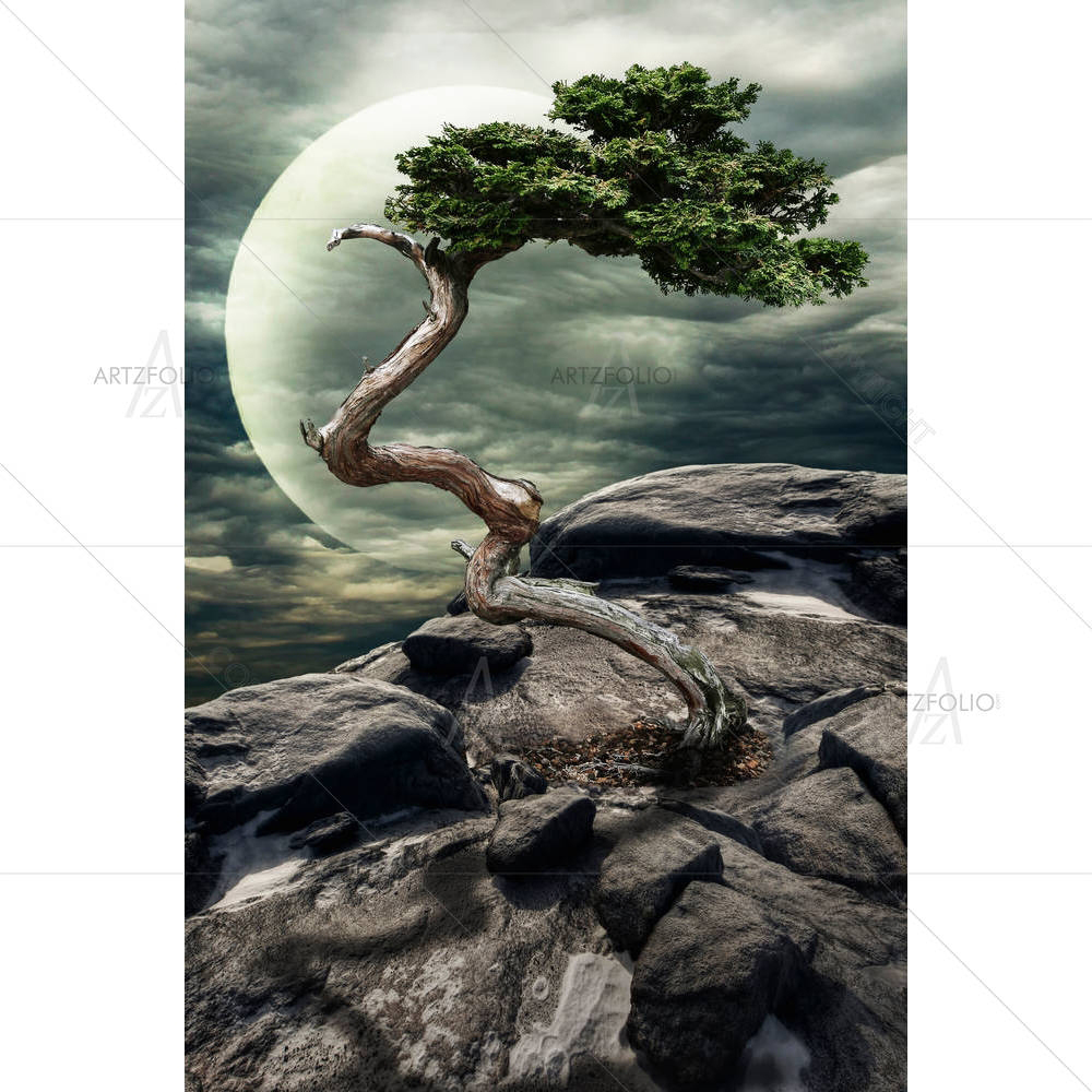 Struggle For Life Concept — custom-size art design 5004344